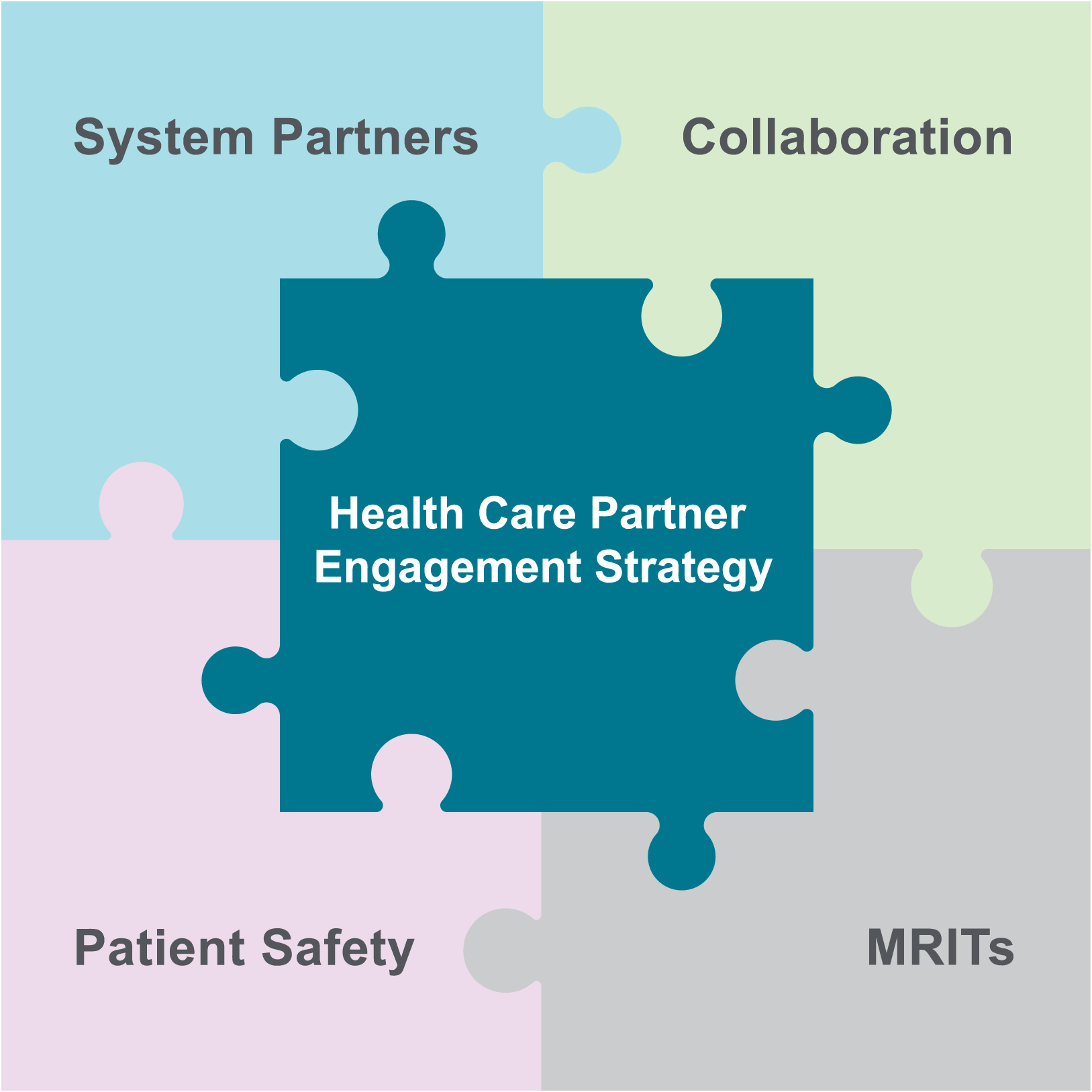 Health Care Partner Engagement Strategy diagram